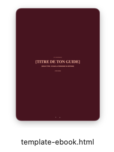 Bouton de téléchargement du template